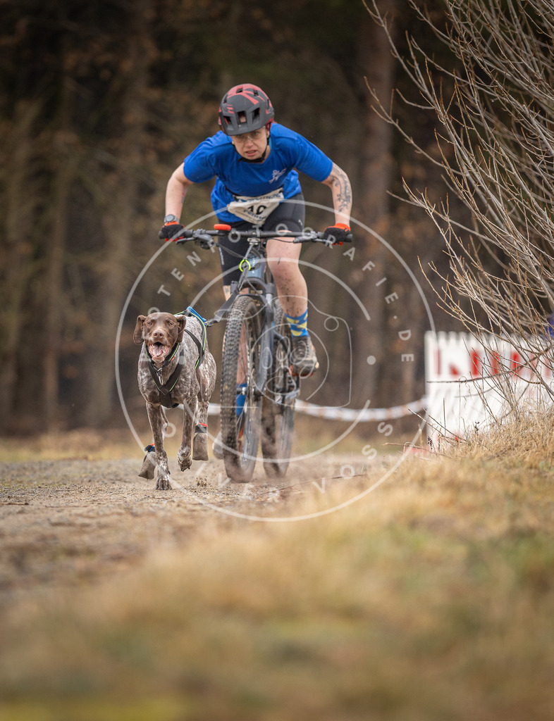 DV3A3239 | Hundefotografie, Tierfotograf, Pfotenfotografie, Fotoshooting Hund, Hunde Portrait, Hundesport, Hundeportraits, Heideshooting, Hunde, Sportfotograf, Hundefotograf, Turnierhundsport, THS,  - Realisiert mit Pictrs.com