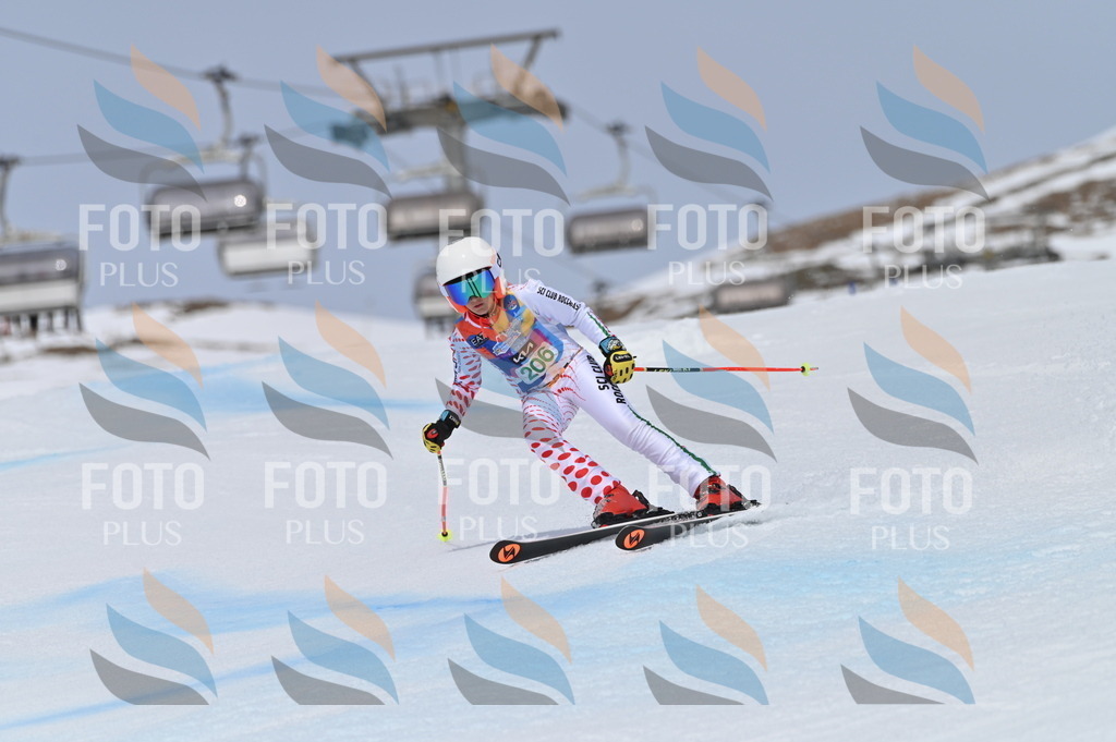 BGV_3977 | holidayphoto