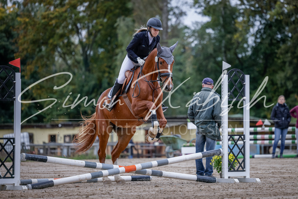 20251012-_3LI2704 | Tierfotografie Pferde, Hunde, Katzen, Haustiere.
Turnierfotografie Reitturniere, Reiten, Springreiten, Dressur in Hanau, dem Main-Kinzig-Kreis und dem Rhein-Main- Gebiet um Frankfurt