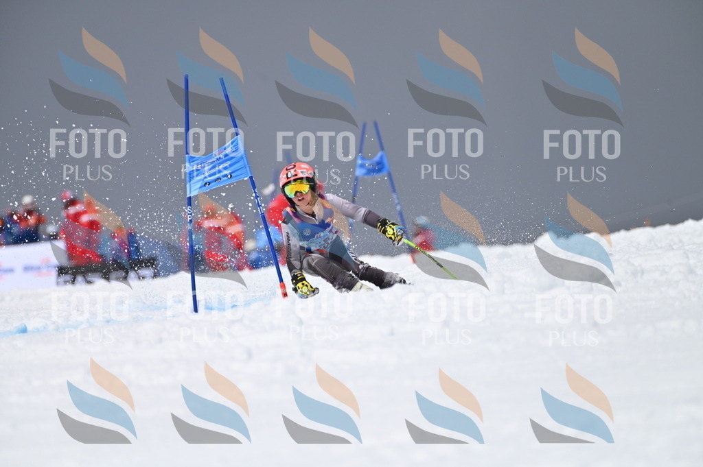 AGV_5561 | holidayphoto