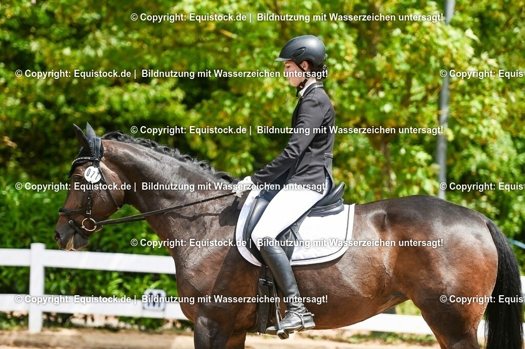 20230716_03_Dressurprfg. Kl.L - Tr._0588 | equistock