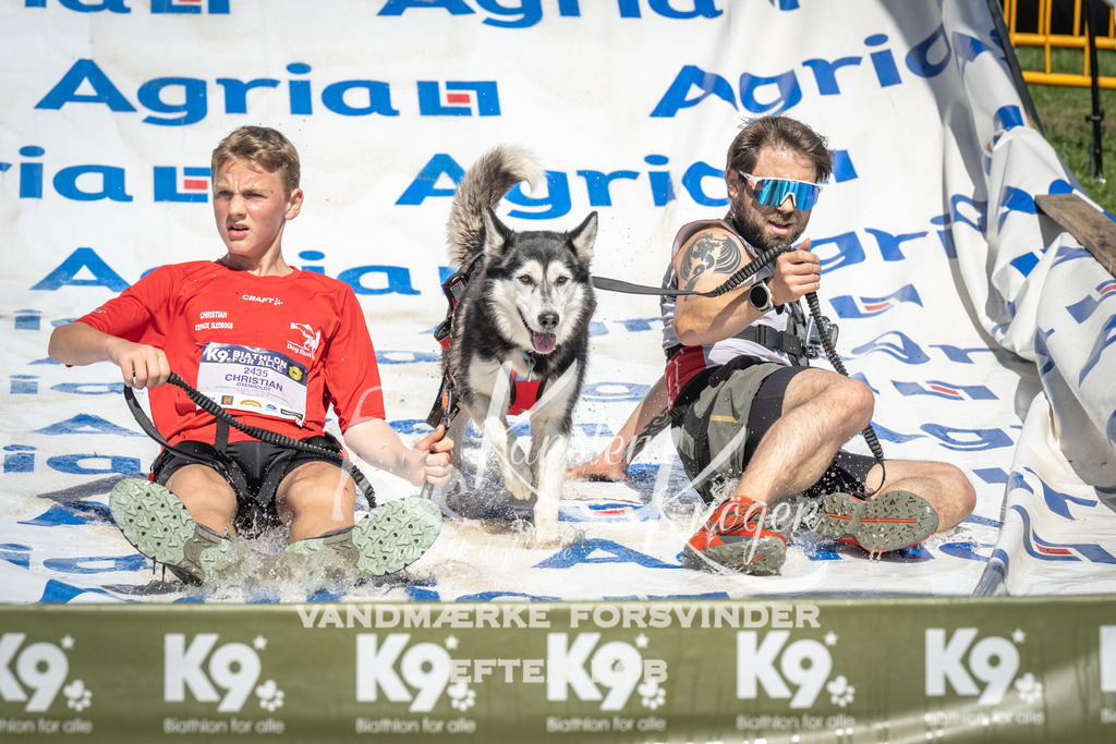 1445_ZZ95782 | kk-dogfotos