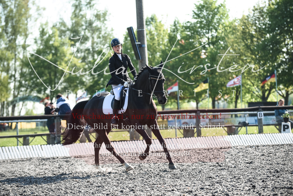 DSC_8347 | Pferde- und Turnierfotografie in Westsachsen. Pferdeportraits, Auftragszeichnungen und intuitive Kunst.