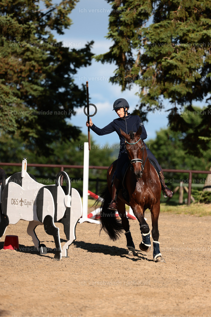 KlasseL_Stoibphotography_CAM24173.JPG | working equitationturnier fotograf videograf stoibphotography marixx film working equitation deutschland reitsport turnierfotografie eventfotografie equestrian events