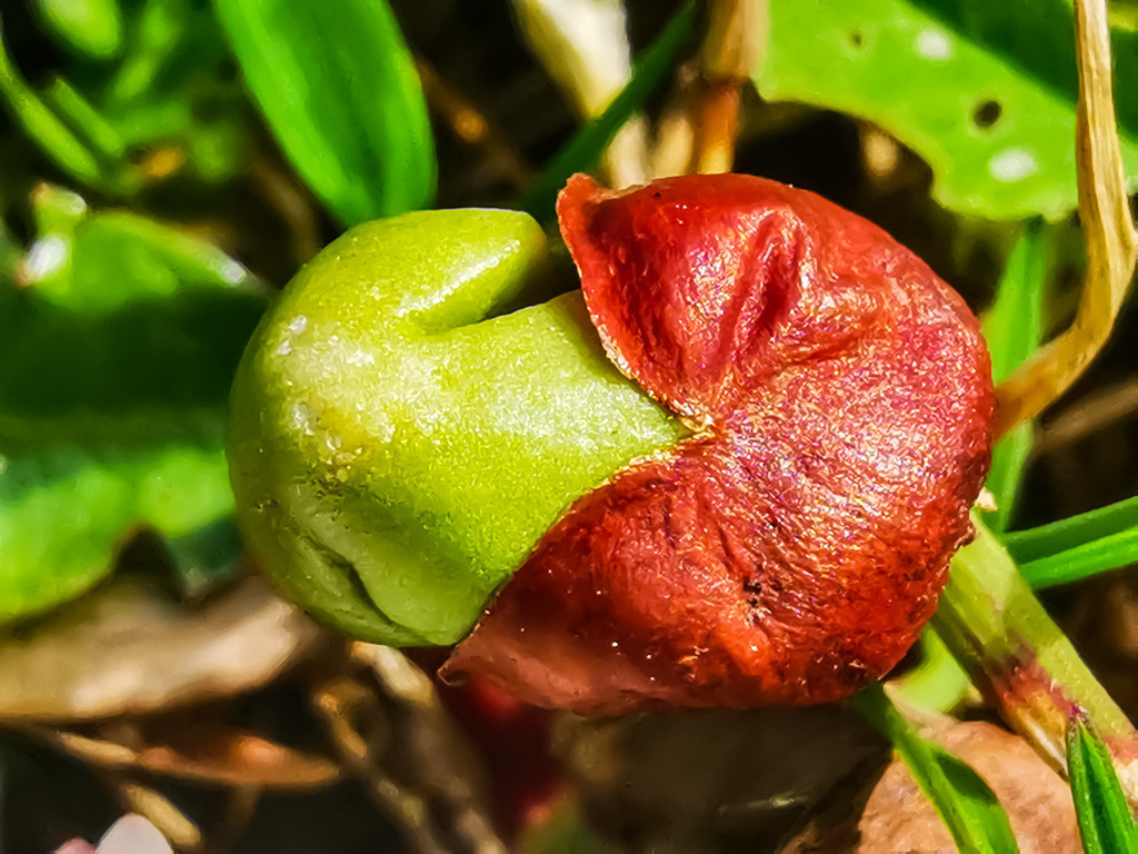 PSX_20230406_234013 | mtkfoto_ - Realisiert mit Pictrs.com