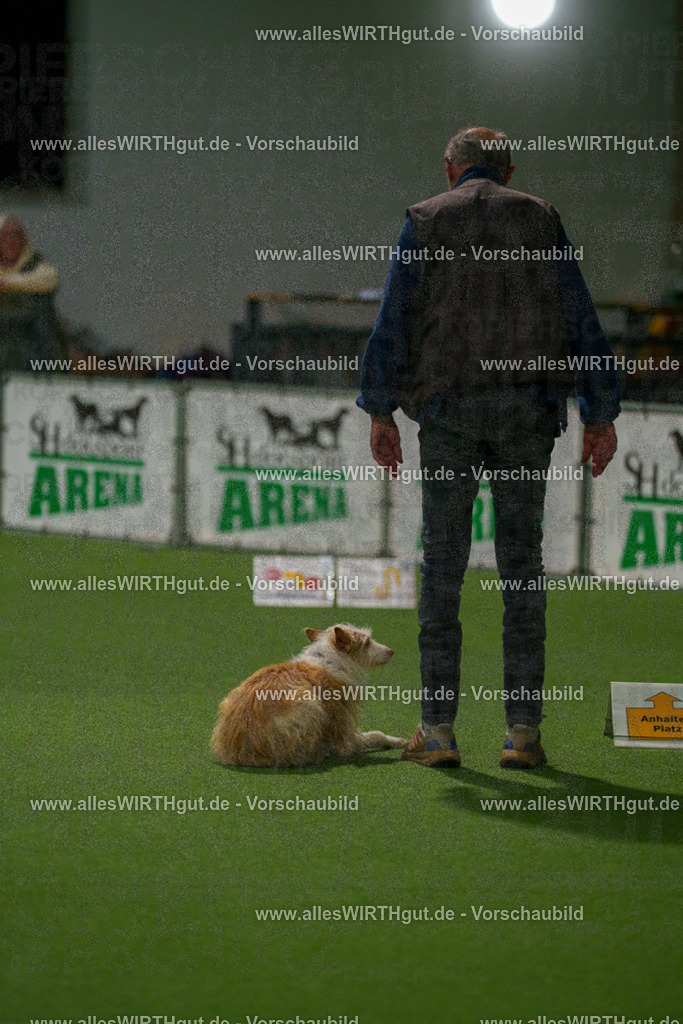 7R509053 | Professionelle Tierfotografie in Mönchengladbach von Daniel Wirth (allesWIRTHgut). Liebevolle & natürliche Bilder von Hunden & Katzen für unvergessliche Erinnerungen.