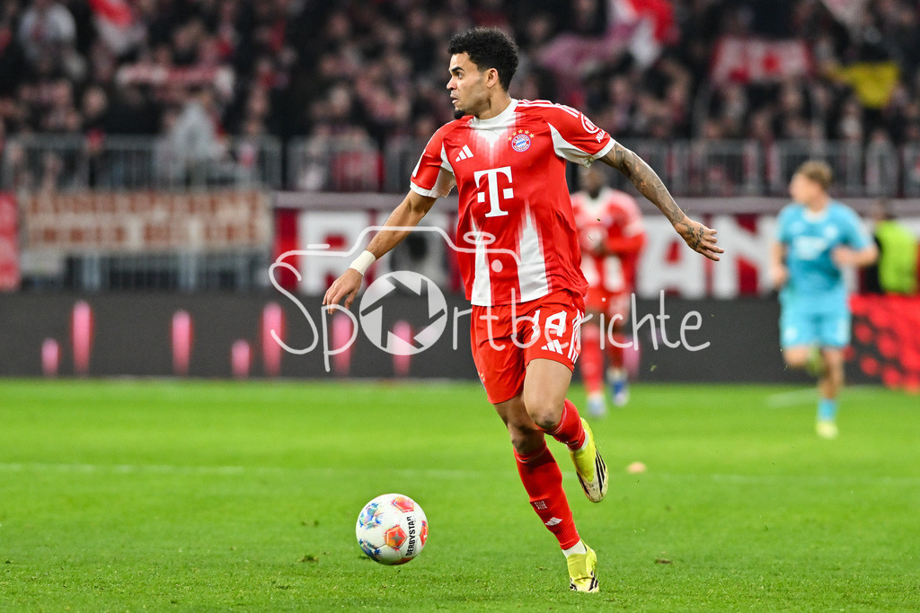 FC Bayern München - TSG 1899 Hoffenheim | MUNICH, GERMANY - 08. FEBRUARY: im Bild Luis DIAZ (FC Bayern Munich 14) / Einzelfoto / Freisteller während dem Bundesligamatch zwischen dem FC Bayern München und der TSG 1899 Hoffenheim am 21. Spieltag in der Allianz Arena / DFL REGULATIONS PROHIBIT ANY USE OF PHOTOGRAPHS AS IMAGE SEQUENCES AND/OR QUASI-VIDEO