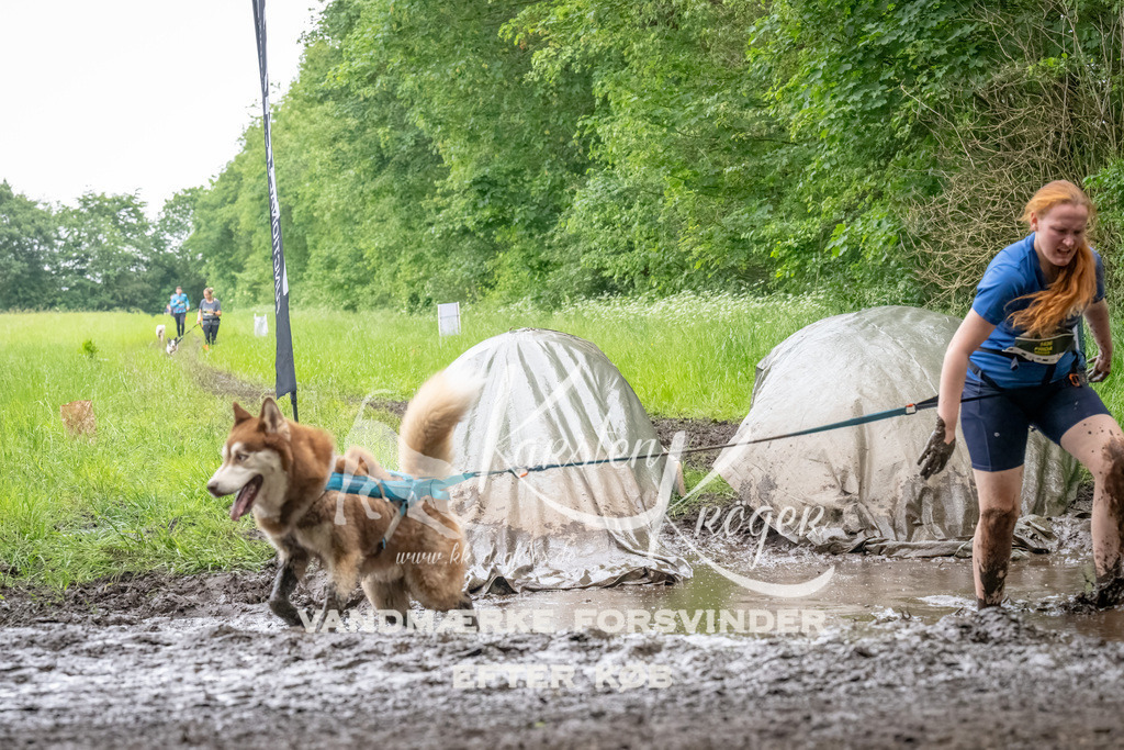 1552_ZZ90763-Bearbeitet | kk-dogfotos