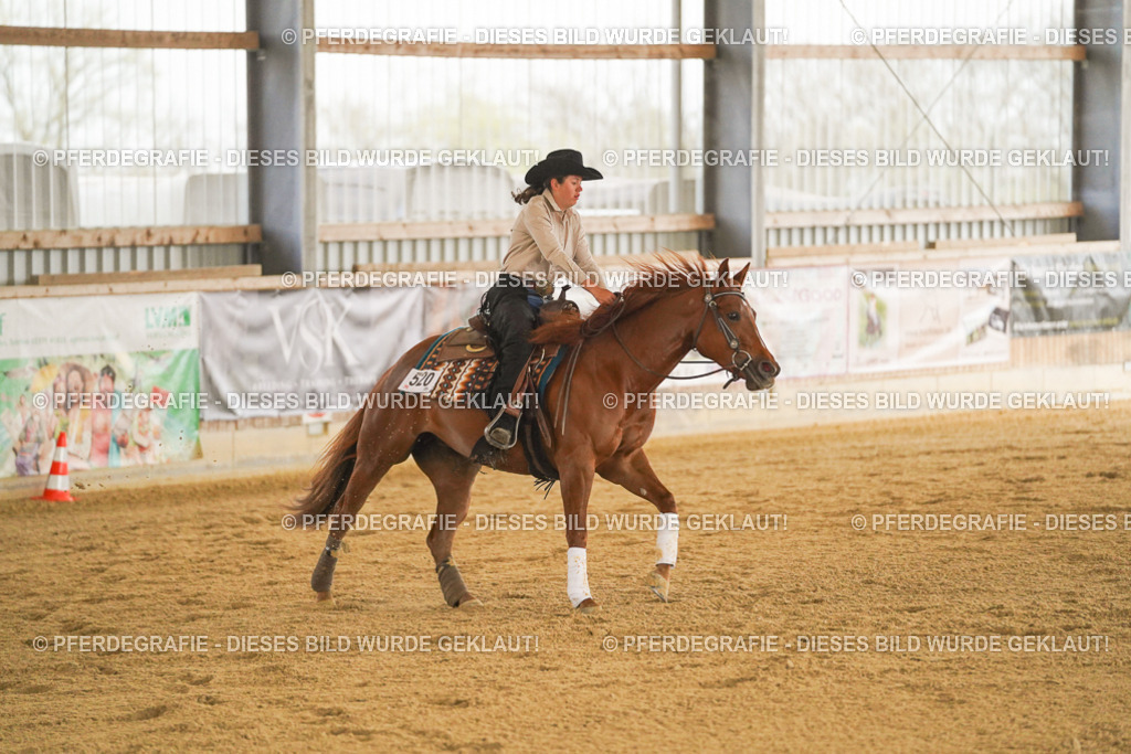 DSC00100 | Pferdegrafie