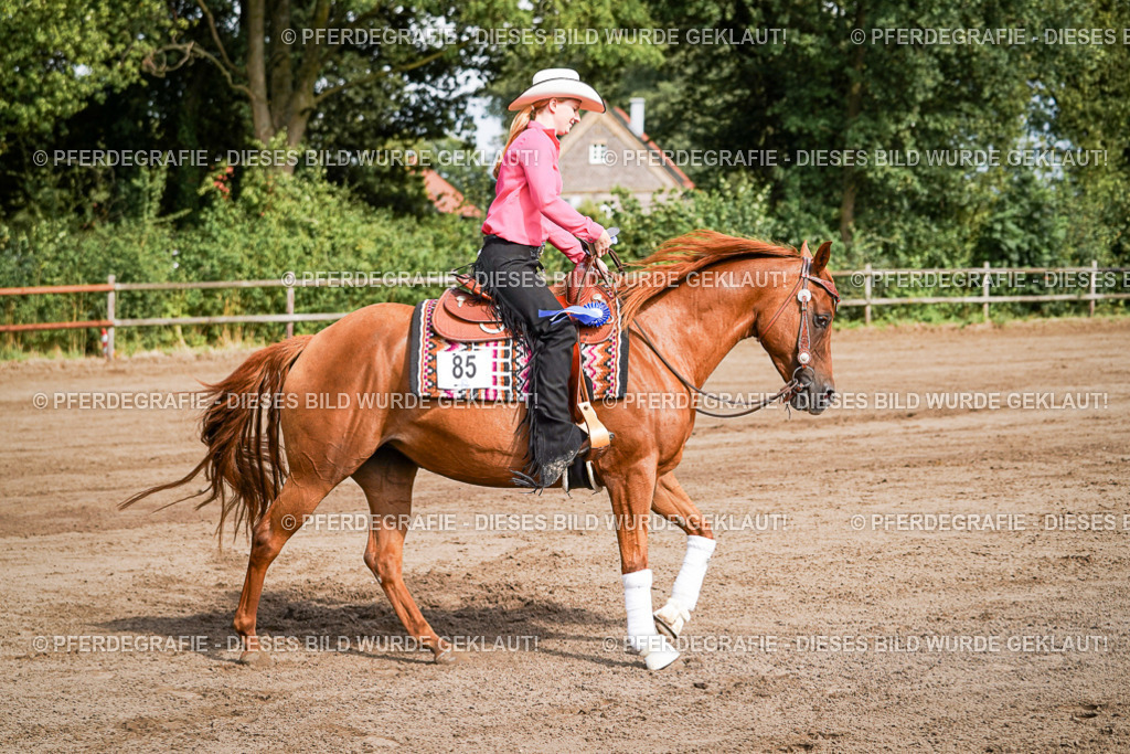 DSC09564 | Pferdegrafie