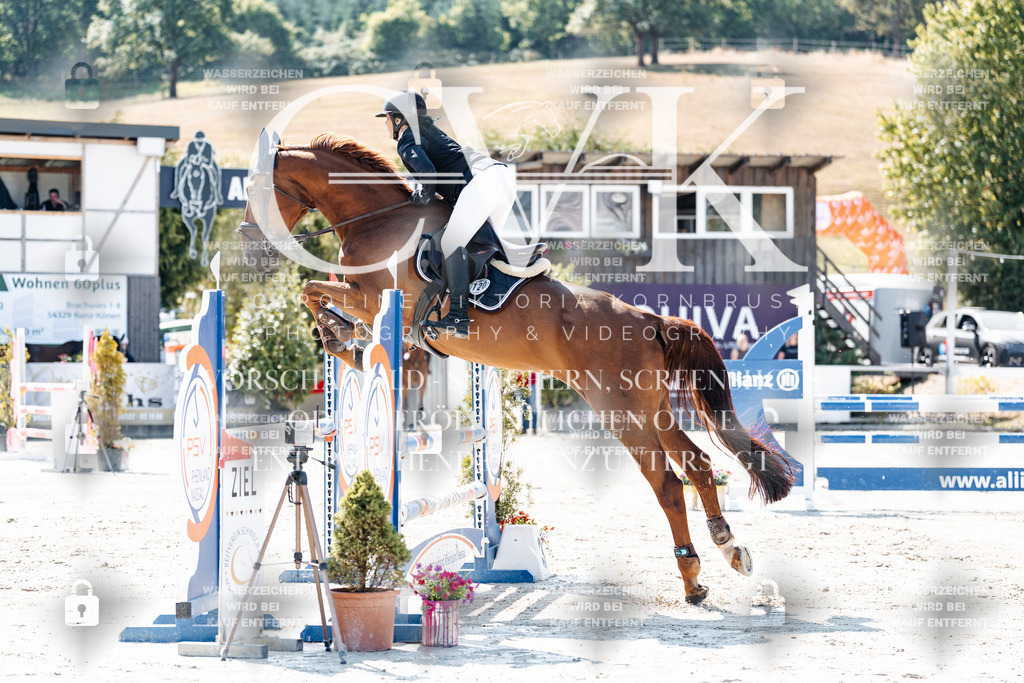 CK908412 | Turnierfotografie Pferdefotografie Trier Rheinland-Pfalz Pferdesport Reitsport Tierfotografie Sportfotografie Pferdevideo Pferdevideografie Equestrianvideography equestrianphotography  - Realisiert mit Pictrs.com