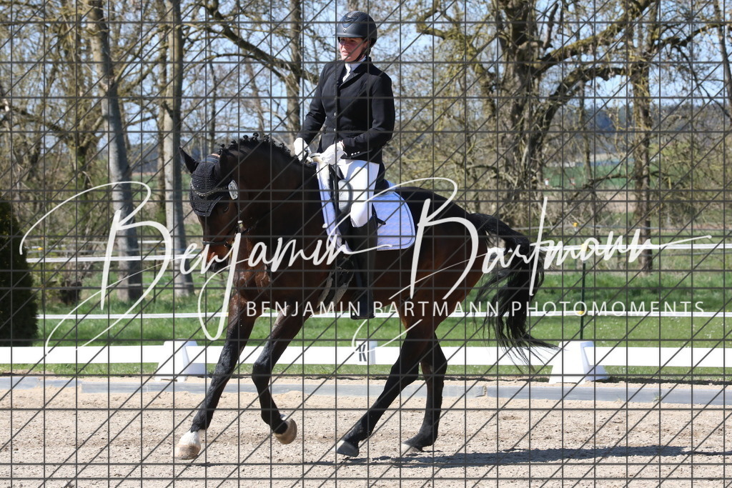 AZ2A4379 | Benjamin Bartmann Photomoments