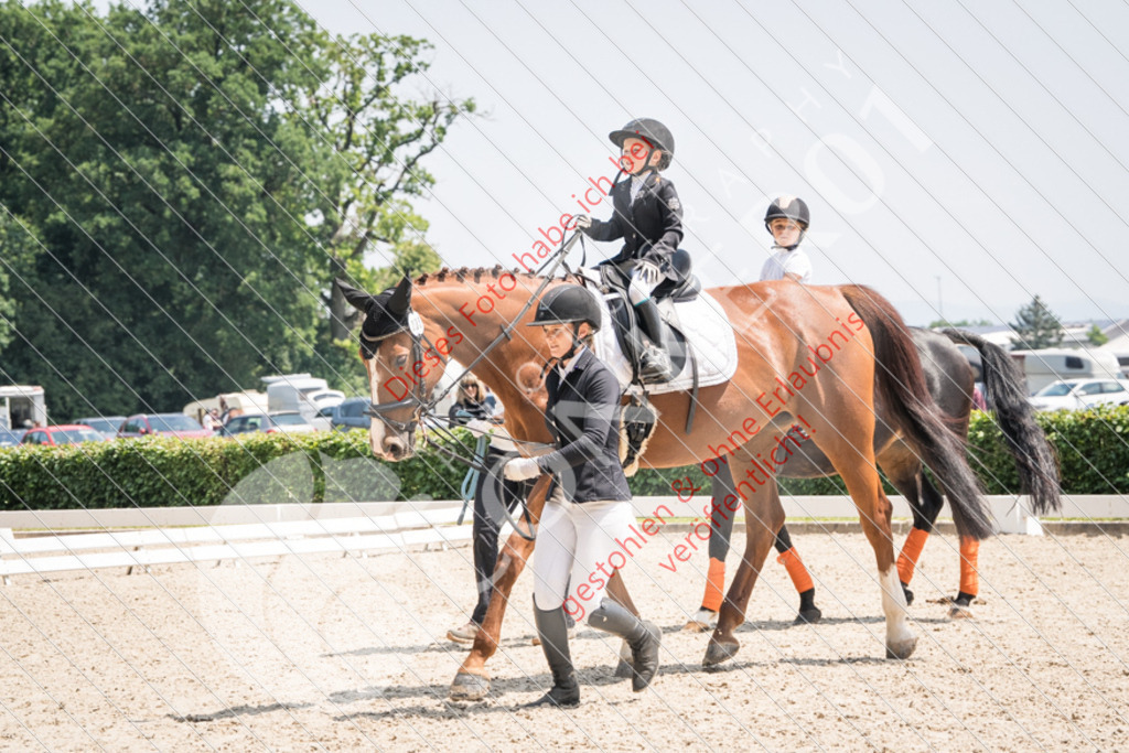 PIR09997 | Sport-, Event- und Tierfotos in Profiqualität. Einfach auswählen, bestellen und herunterladen. Dein Moment – perfekt festgehalten.