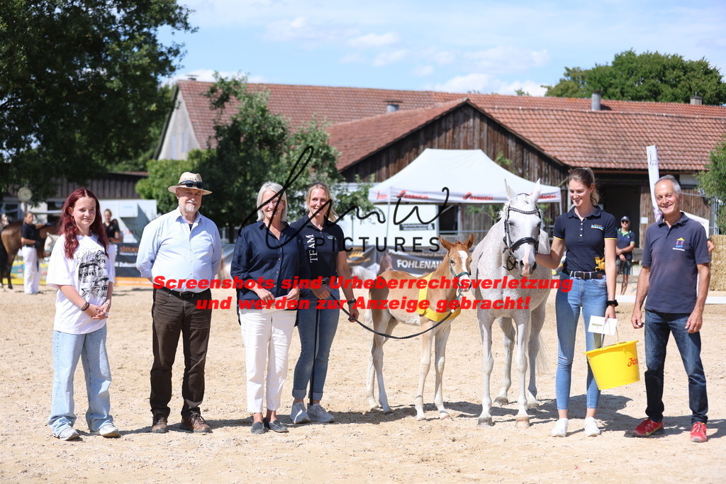 Fohlenschau_Schwäbisch_Hall_Ponys_SIEGERFOHLEN_KN 43_10 | lmwpictures - Realisiert mit Pictrs.com