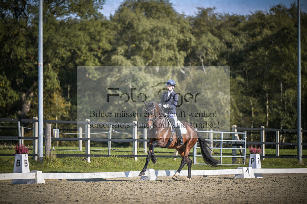DOS_B829 | Entdecke hochwertige Reitturnierfotos von Foto Oger. Professionell, emotional und authentisch – jetzt Lieblingsmomente im Shop bestellen.Deutschlandweite Turnierfotografie. - Realisiert mit Pictrs.com