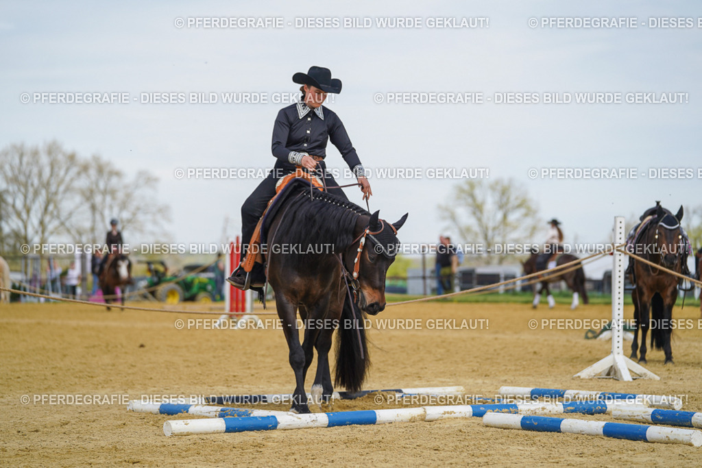 DSC05254 | Pferdegrafie