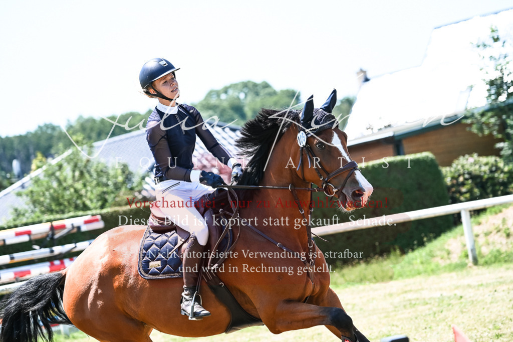 DSC_0185 | Pferde- und Turnierfotografie in Westsachsen. Pferdeportraits, Auftragszeichnungen und intuitive Kunst.