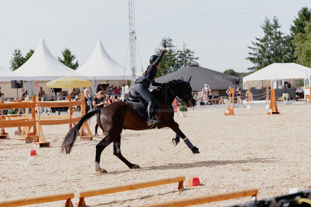 Leonie24_FHC2025-60 | working equitationturnier fotograf videograf stoibphotography marixx film working equitation deutschland reitsport turnierfotografie eventfotografie equestrian events