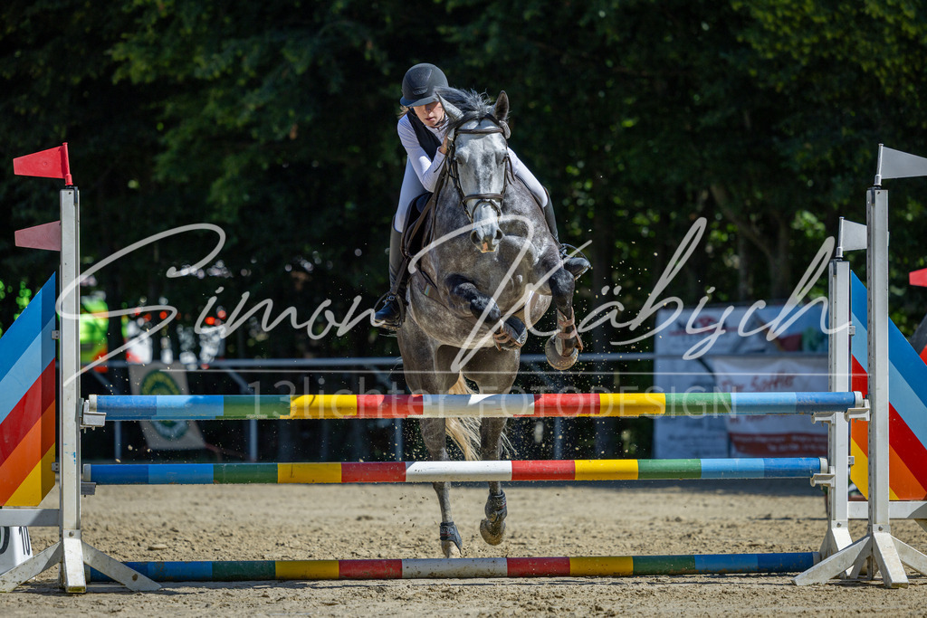 20260704-_3LI7572 | Tierfotografie Pferde, Hunde, Katzen, Haustiere.
Turnierfotografie Reitturniere, Reiten, Springreiten, Dressur in Hanau, dem Main-Kinzig-Kreis und dem Rhein-Main- Gebiet um Frankfurt