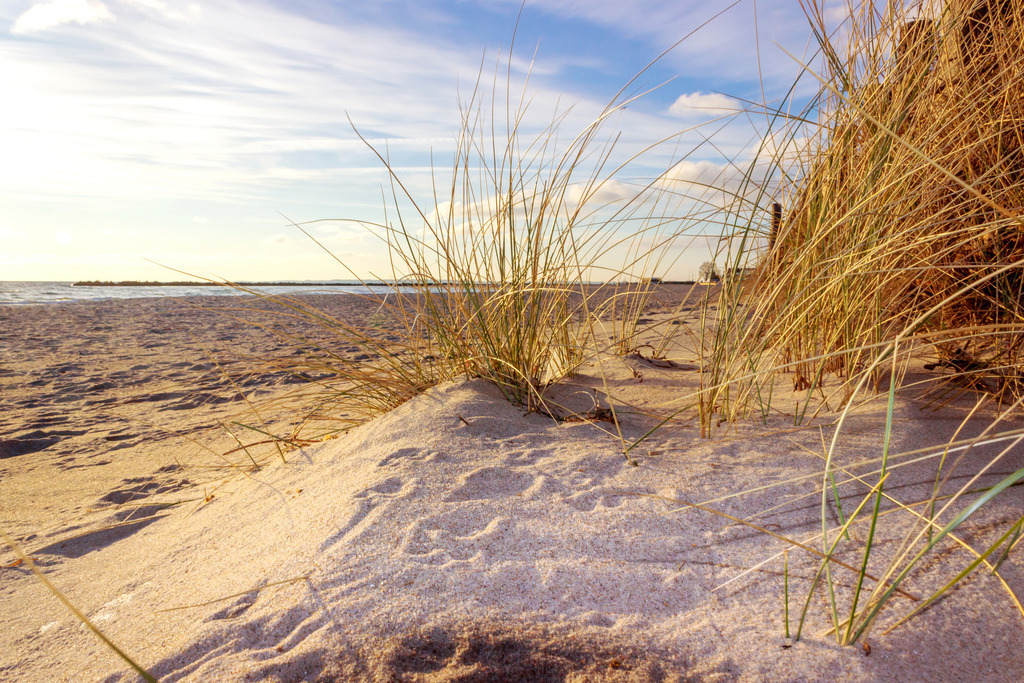 Wandbild: Strandhafer am Strand in Damp | Dieses Wandbild im Querformat zeigt Strandhafer am Strand in Damp in schöner Lichtstimmung am Morgen. Am blauen Himmel sind schöne Wolken zu sehen. - Realisiert mit Pictrs.com