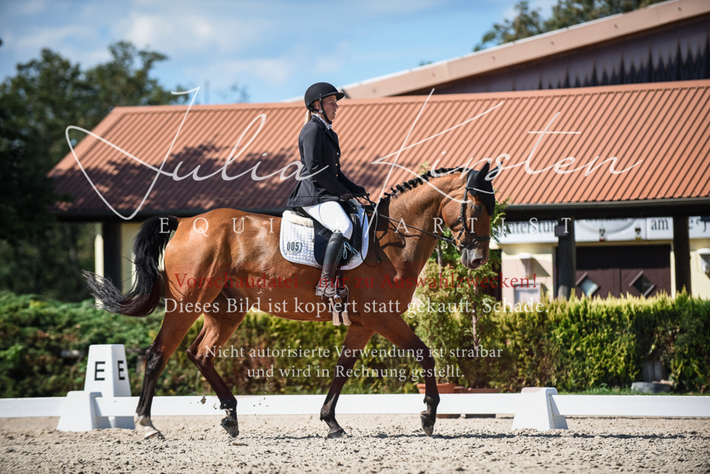 DSC_9671 | Pferde- und Turnierfotografie in Westsachsen. Pferdeportraits, Auftragszeichnungen und intuitive Kunst.