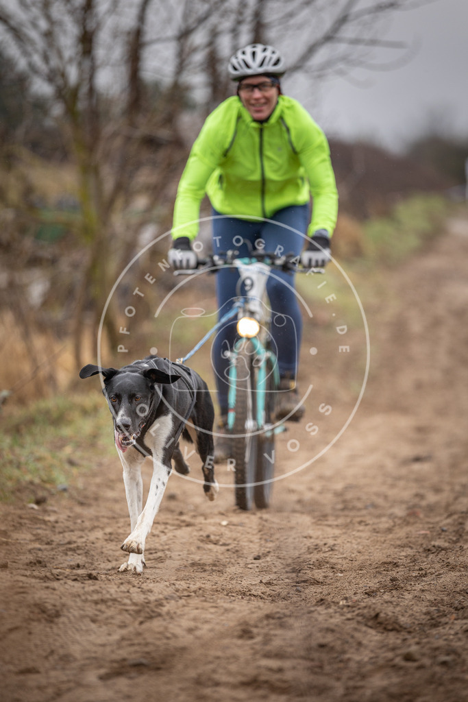 DV3A8895 | Hundefotografie, Tierfotograf, Pfotenfotografie, Fotoshooting Hund, Hunde Portrait, Hundesport, Hundeportraits, Heideshooting, Hunde, Sportfotograf, Hundefotograf, Turnierhundsport, THS,  - Realisiert mit Pictrs.com