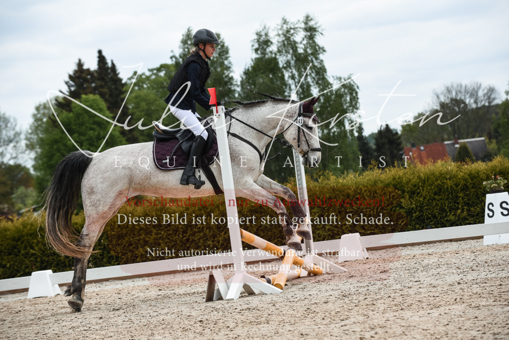 20230518_JK-Röhrsdorf-10-573 | Pferde- und Turnierfotografie in Westsachsen. Pferdeportraits, Auftragszeichnungen und intuitive Kunst.