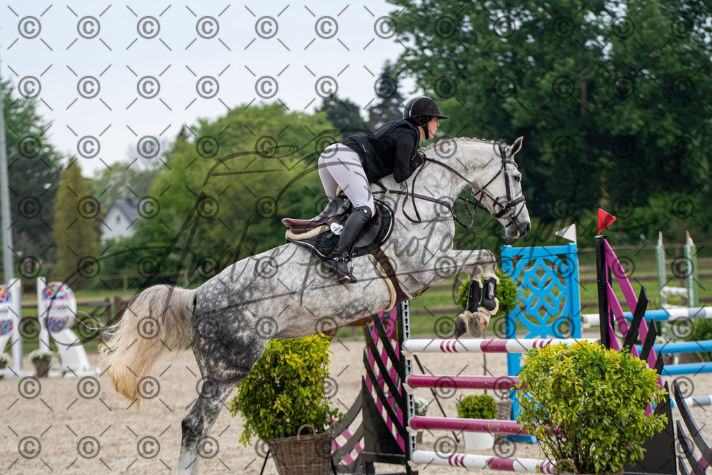 KPT_3583 | andre_photographic