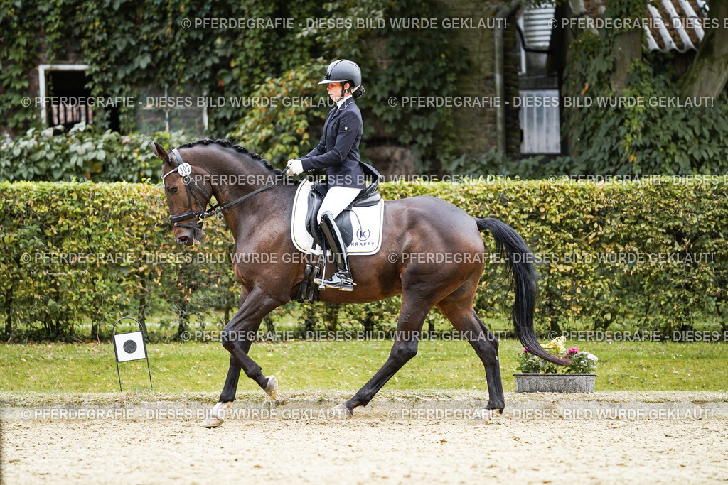 DSC00934 | Pferdegrafie