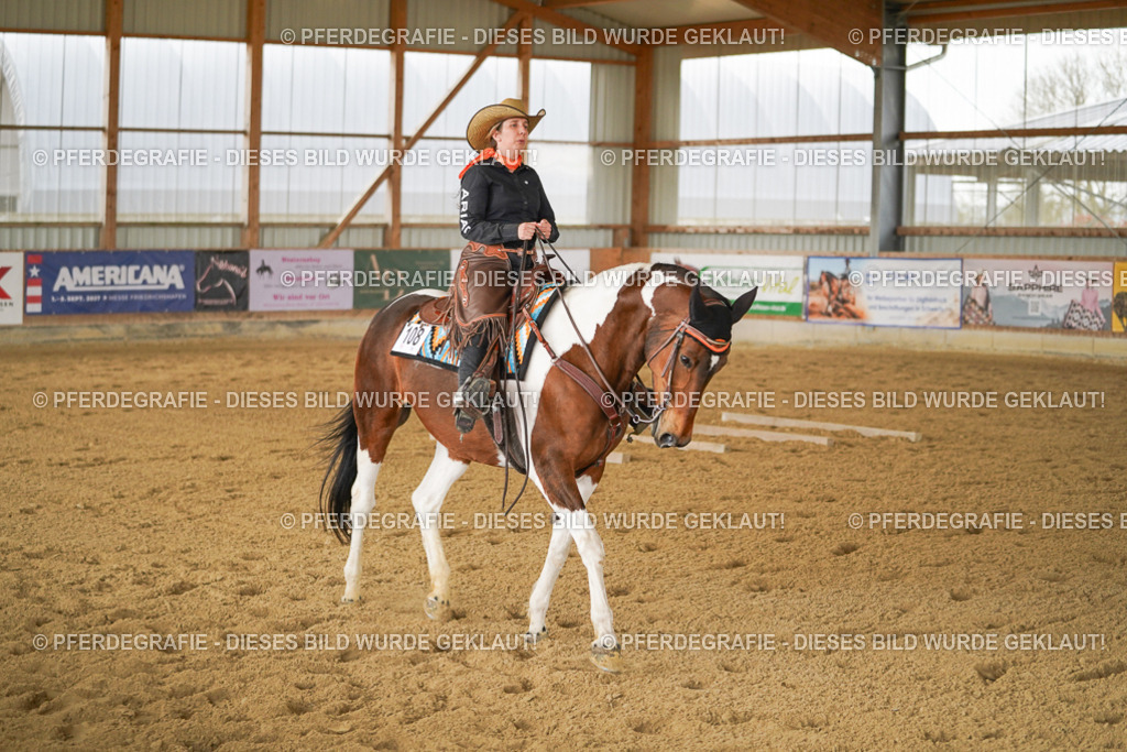 DSC03410 | Pferdegrafie