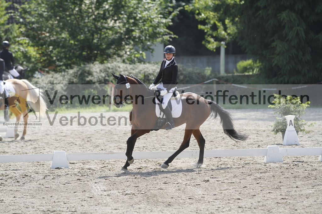 _MG_2149 | equestrian-live-com
