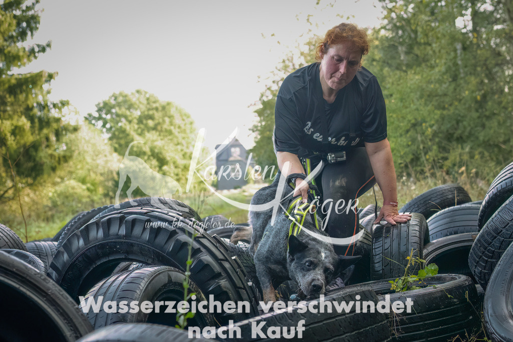 1048_ZZ90492-Bearbeitet | kk-dogfotos