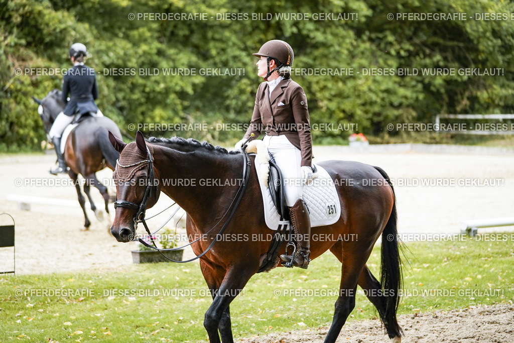 DSC01131 | Pferdegrafie