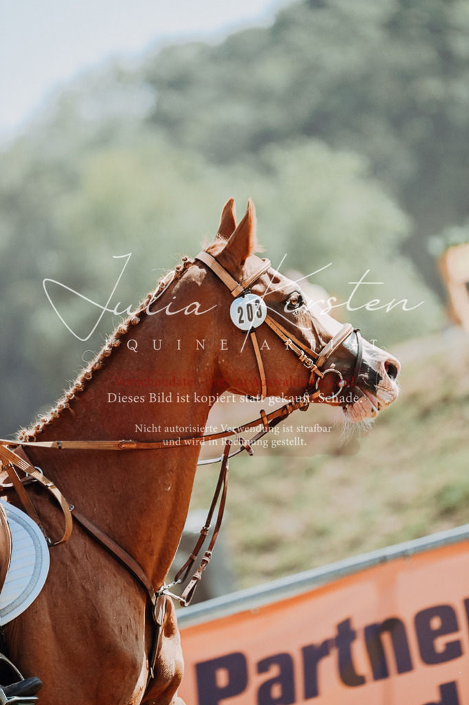 DSC_9538 | Pferde- und Turnierfotografie in Westsachsen. Pferdeportraits, Auftragszeichnungen und intuitive Kunst.