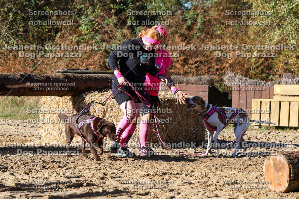 Dog Paparazzi - Strongdog 10-25-1961 | Dog Paparazzi Jeanette Grottendiek Fotografie & Videografie - Realisiert mit Pictrs.com