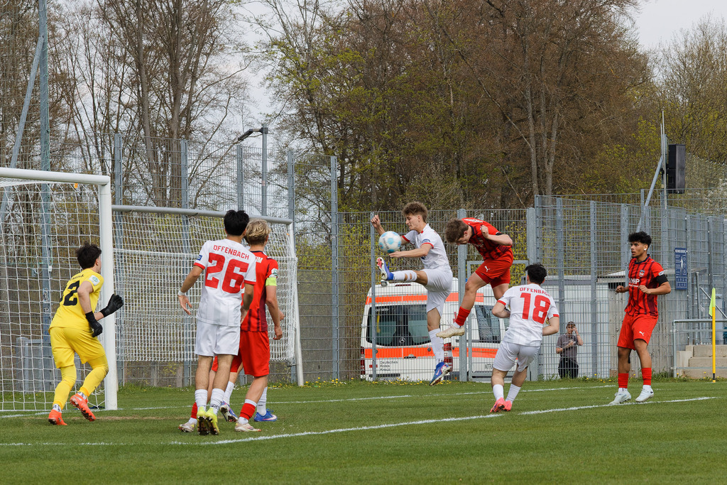 FCHOFK_260418_6-97 | 1.FC Heidenheim 1846 vs. Offenbacher Kickers, Fußball, U17, B-Junioren, NWL, U17-DFB-Nachwusliga, 2025/2026, 10. Spieltag, 18.04.2026 in Heidenheim, Walter-Birkhold-Jugendstadion (Foto: Michael Bulling) - Realisiert mit Pictrs.com