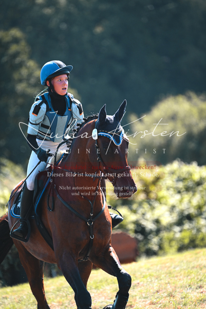 DSC_8068 | Pferde- und Turnierfotografie in Westsachsen. Pferdeportraits, Auftragszeichnungen und intuitive Kunst.