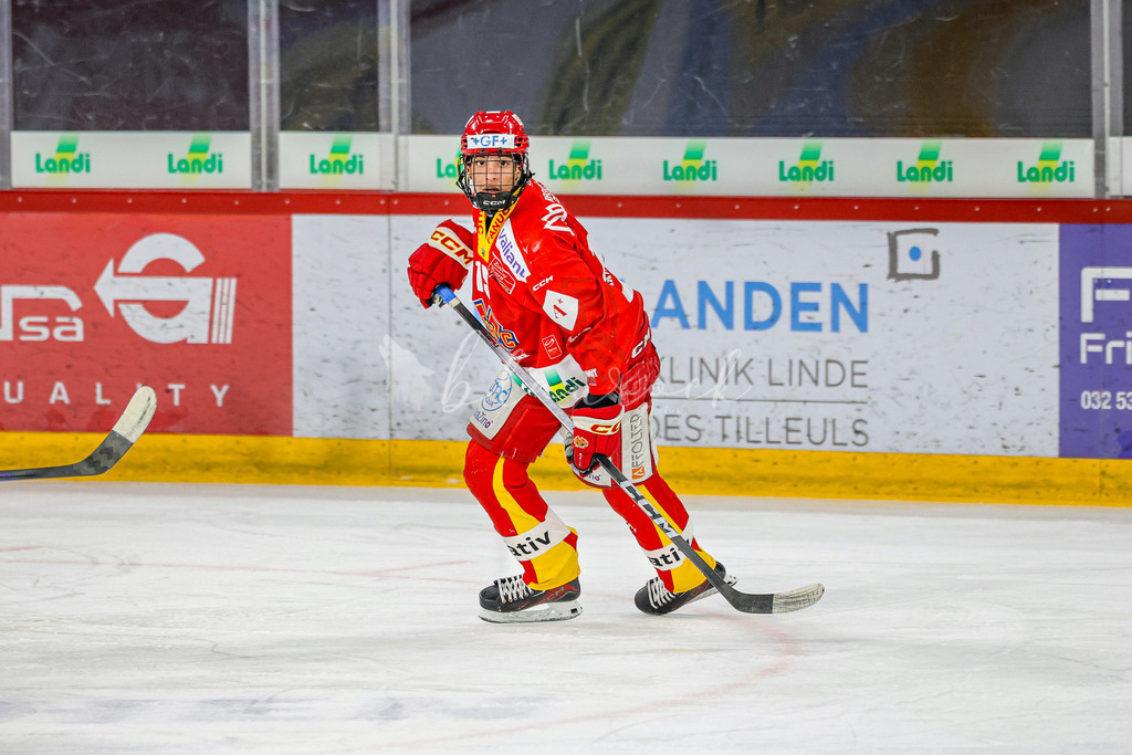 EHCB vs HCD-0245 | Sportbilder, Sportfotograf, Hochzeits- und Eventfotografin, Flugshows, Portraits und Tiershooting, Aviation, Downhill, Nationalleague, Swissleague, International