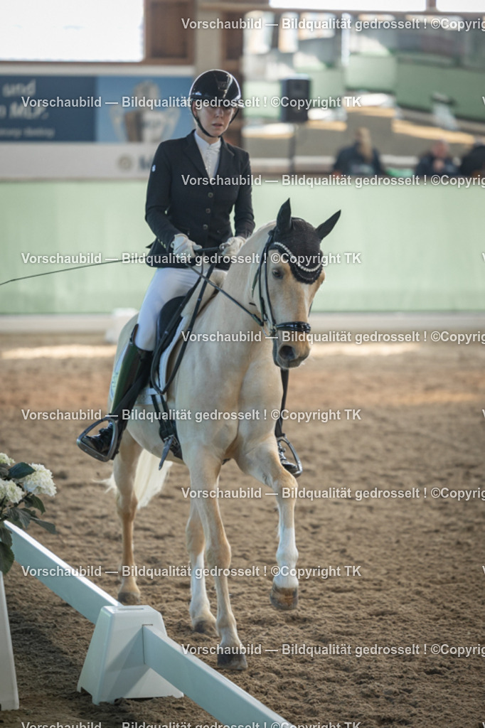 _D5A8214 | Emotionale Pferde- & People-Fotografie rund um Heidelberg, Leimen & Umgebung. Natürliche Fotos von Pferd, Mensch & Familie. Jetzt Termin sichern!