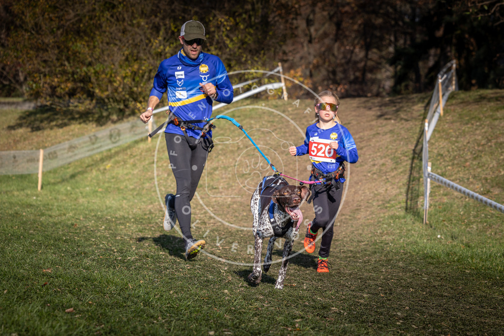 CaniXpix_0L8A8696 | Hundefotografie, Tierfotograf, Pfotenfotografie, Fotoshooting Hund, Hunde Portrait, Hundesport, Hundeportraits, Heideshooting, Hunde, Sportfotograf, Hundefotograf, Turnierhundsport, THS,  - Realisiert mit Pictrs.com