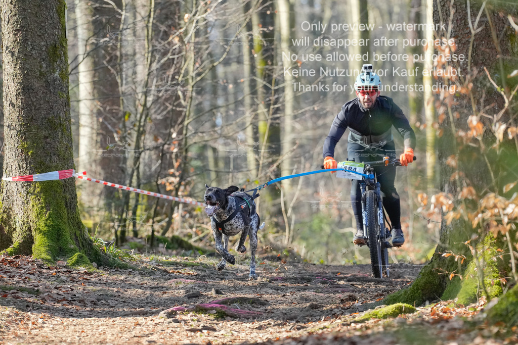 Bike_So-12 | stephaniefillaphotographie - Realisiert mit Pictrs.com