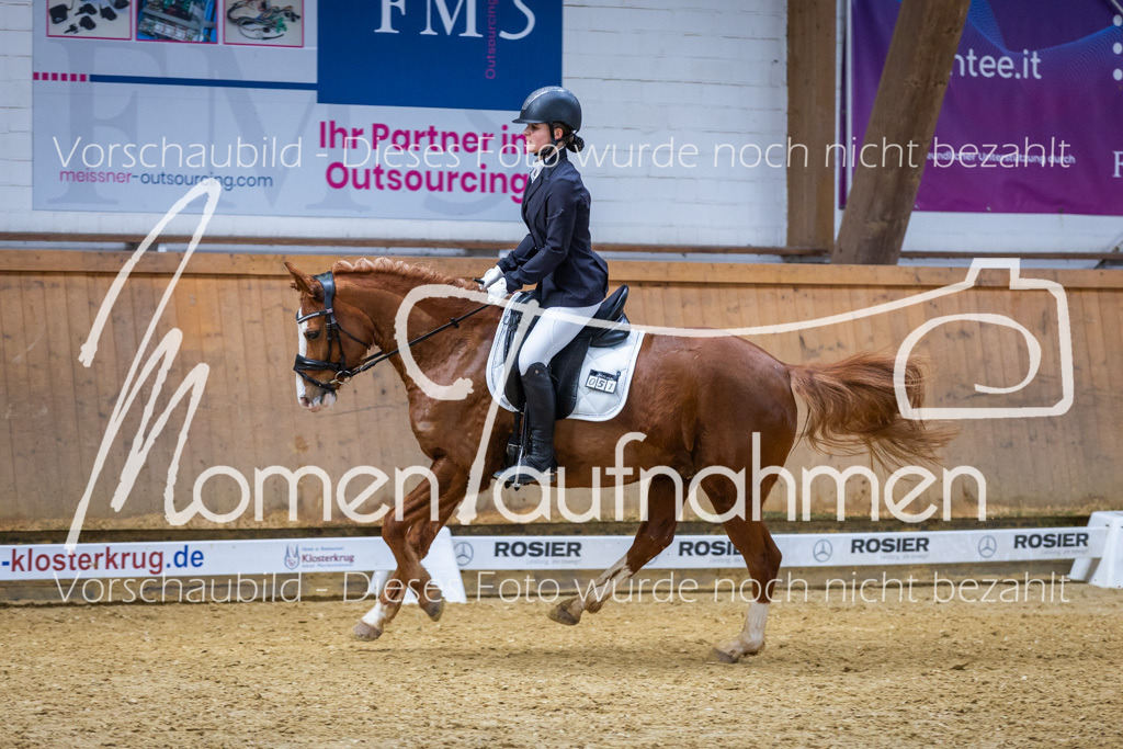 _M2A1706 | MomenTaufnahmen Pferdesportfotos