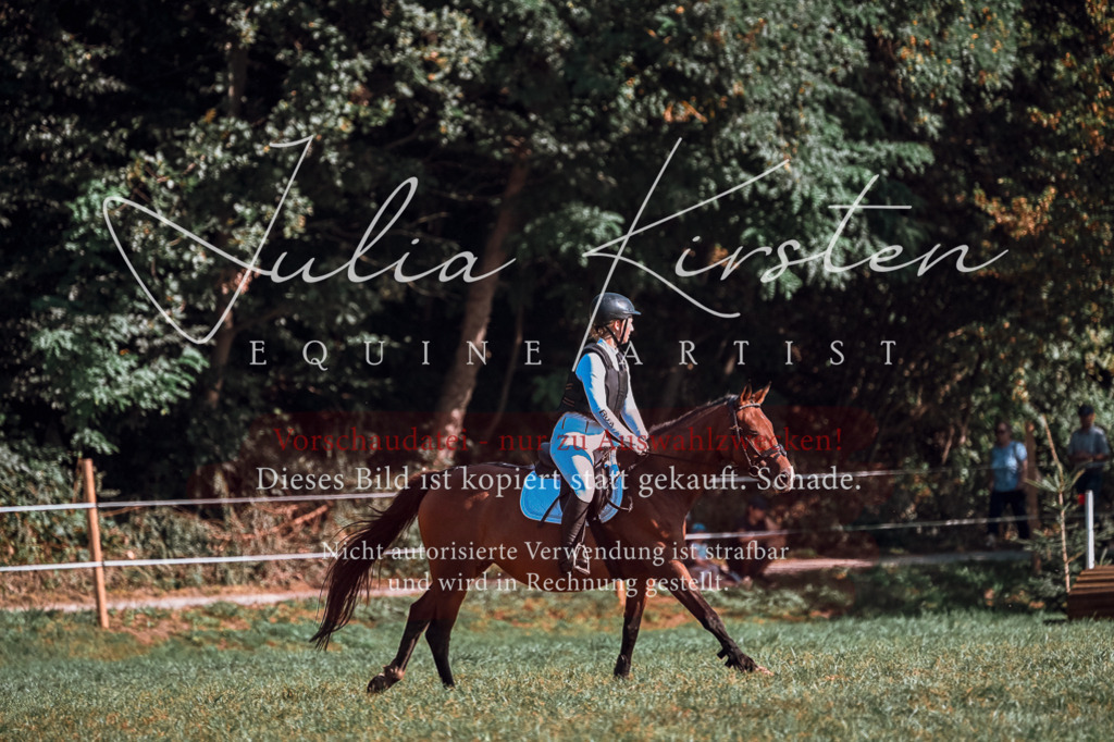 DSC_0674 | Pferde- und Turnierfotografie in Westsachsen. Pferdeportraits, Auftragszeichnungen und intuitive Kunst.