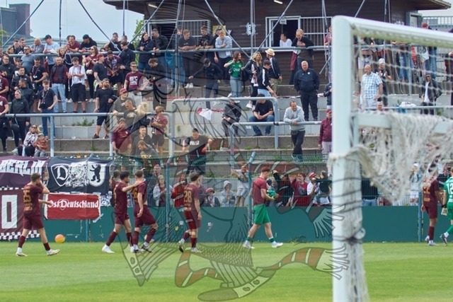 BFC Dynamo vs. Berliner AK 07 038 | mythos-online-redaktion