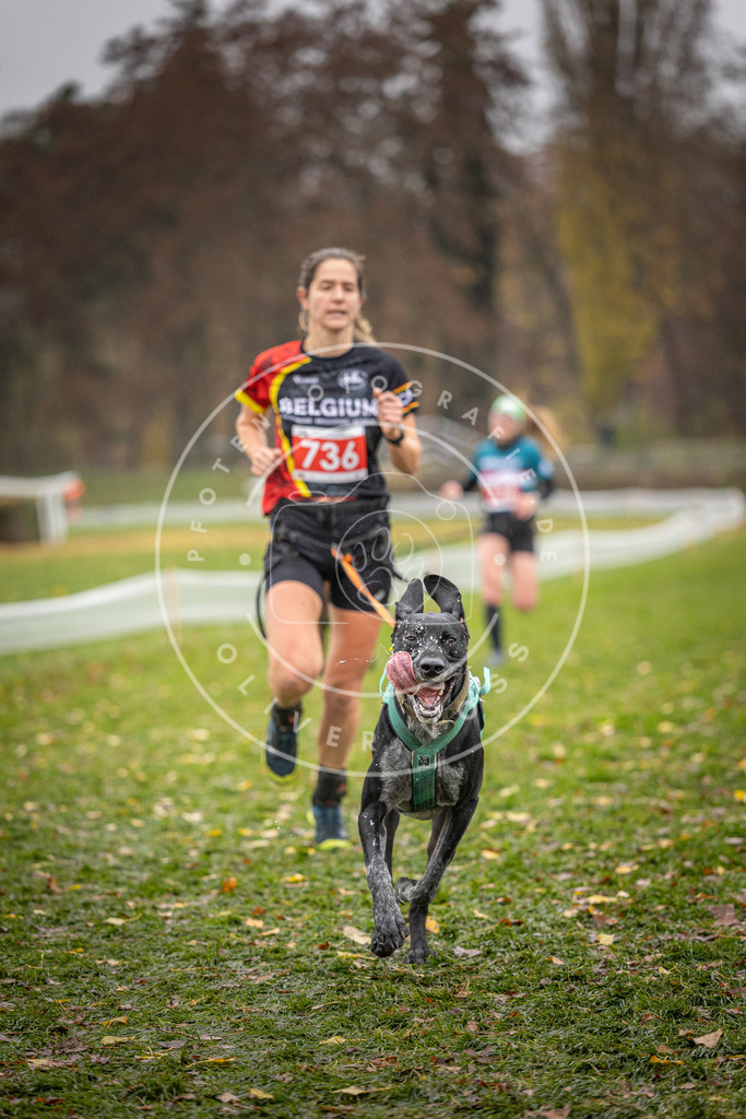 CaniXpix_DV3A9223 | Hundefotografie, Tierfotograf, Pfotenfotografie, Fotoshooting Hund, Hunde Portrait, Hundesport, Hundeportraits, Heideshooting, Hunde, Sportfotograf, Hundefotograf, Turnierhundsport, THS,  - Realisiert mit Pictrs.com