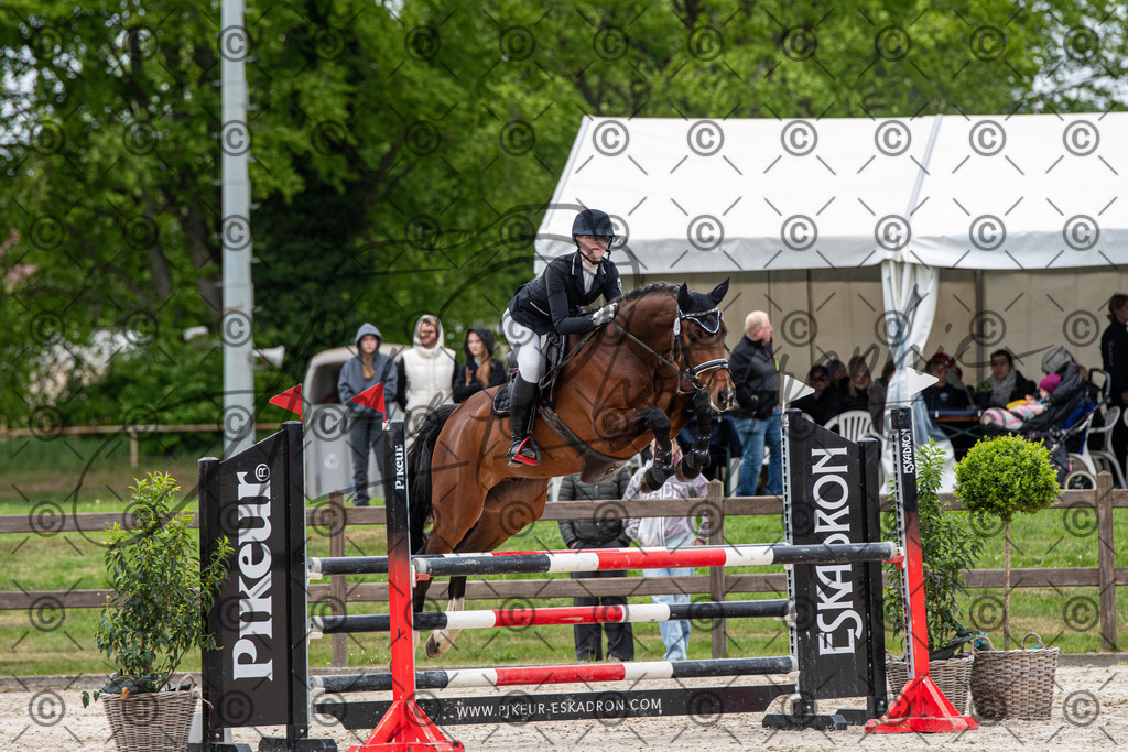 KPT_8471 | andre_photographic