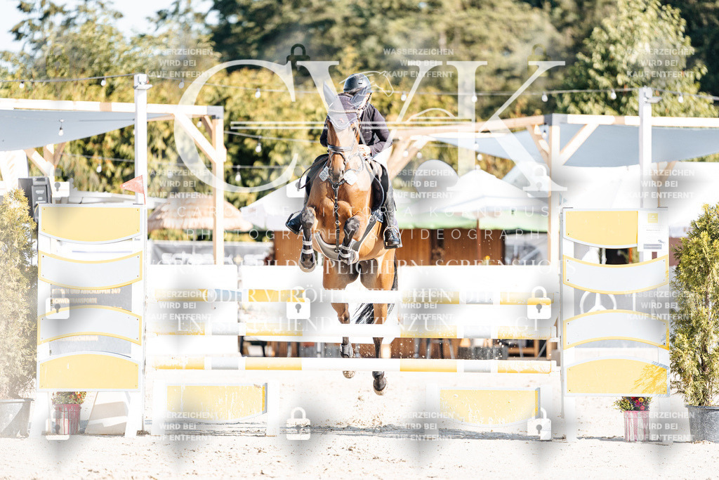 CK901750 | Turnierfotografie Pferdefotografie Trier Rheinland-Pfalz Pferdesport Reitsport Tierfotografie Sportfotografie Pferdevideo Pferdevideografie Equestrianvideography equestrianphotography  - Realisiert mit Pictrs.com