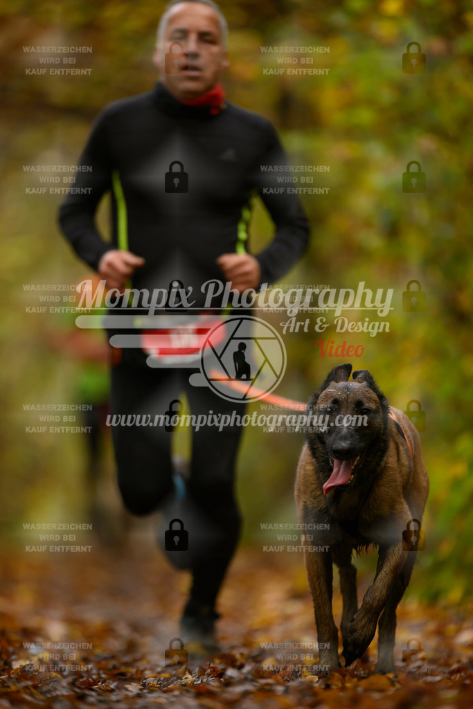 MompixPhotography_CD7S_DI_CCL-109 | mompixphotography