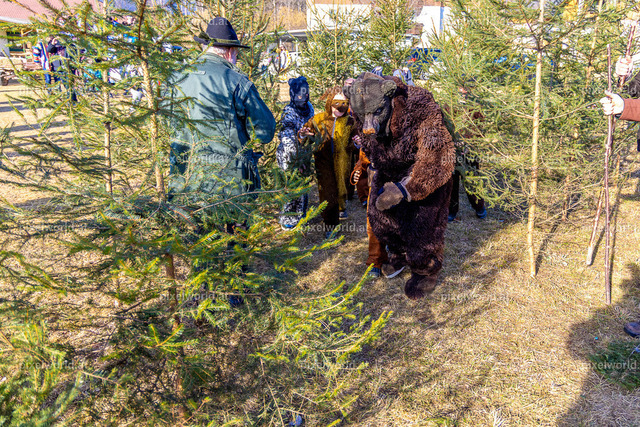 Bärentreiben in Steuerberg | Bildershop von pixelworld.at - Realisiert mit Pictrs.com