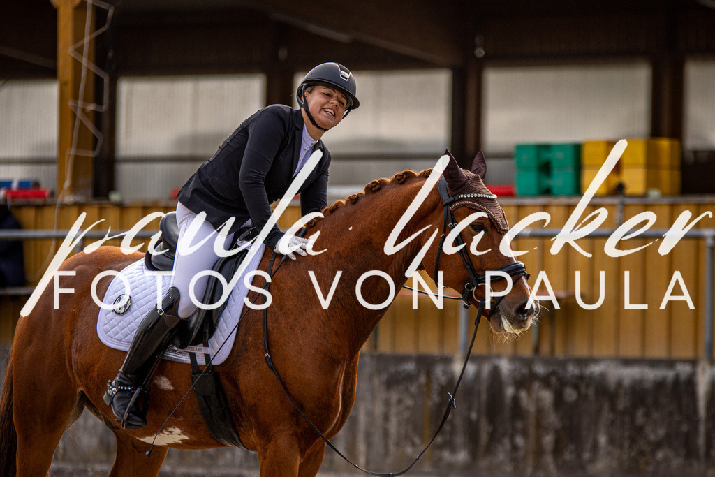 IMG_3365 | Erleben Sie dynamische Sport- und emotionale Tierfotografie in Süddeutschland mit Fotos von Paula. Spezialisiert auf Pferde- und Hundefotografie sowie Sportevents. Kontaktieren Sie mich für einzigartige und ausdrucksstarke Bilder Ihrer besonderen Momente.